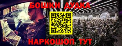 прущие крисы Будённовск